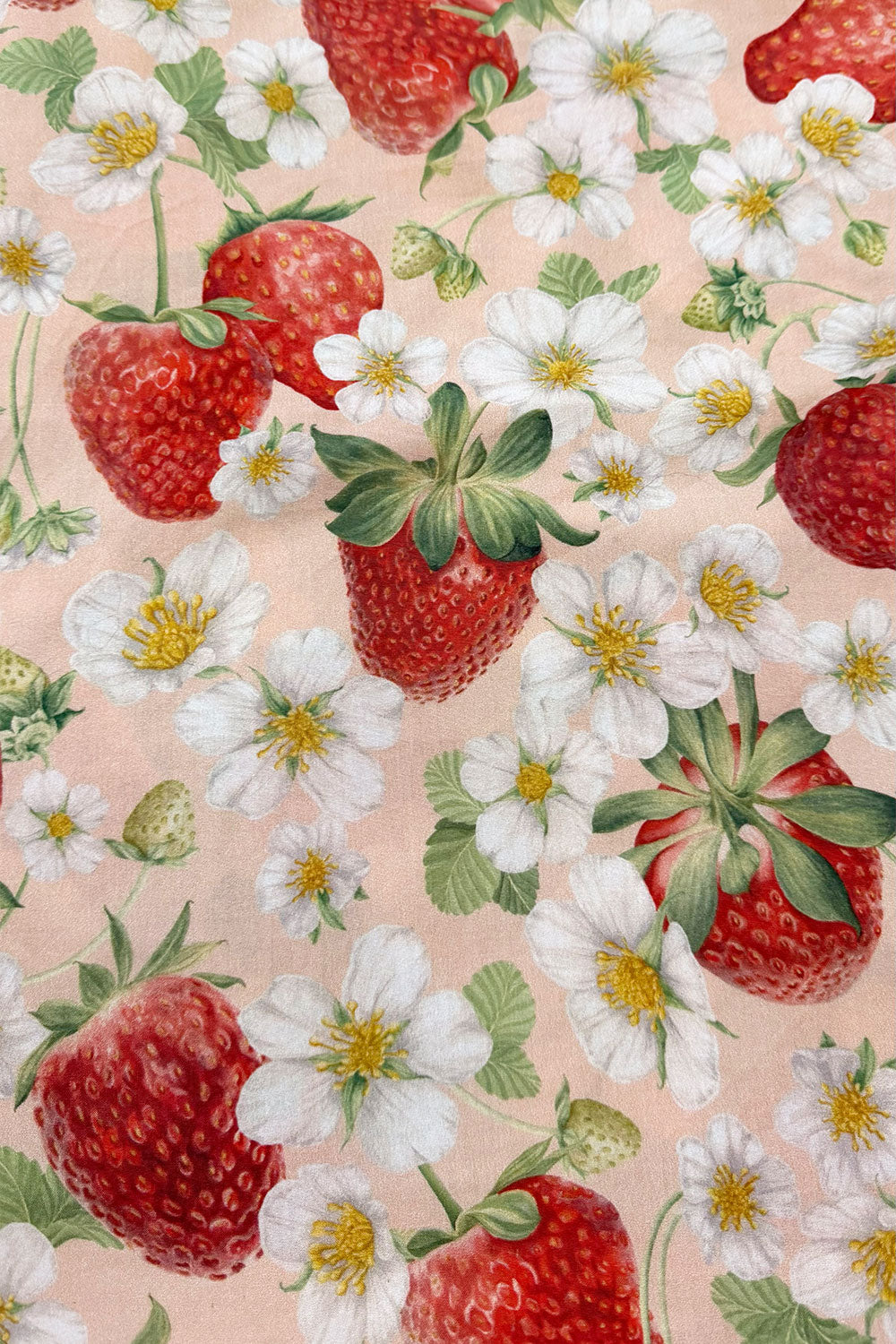 REMNANT 1M Strawberry Fields Sherbet | Cotton Percale