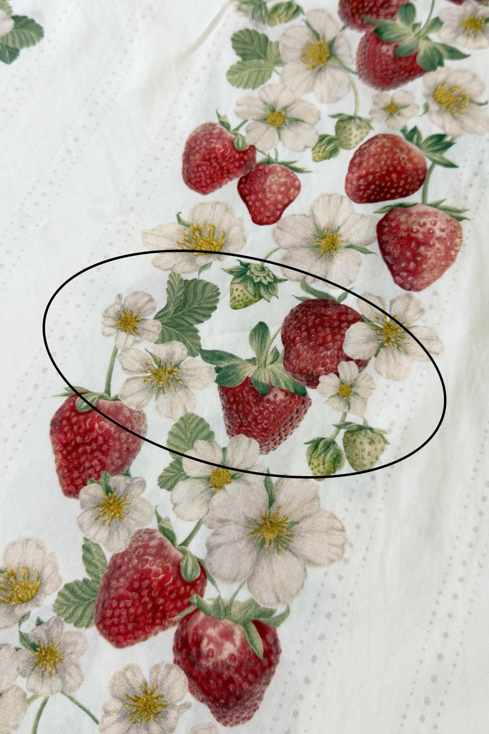 Studio Seconds | Vintage Berries | White | 100% Cotton Percale Fabric
